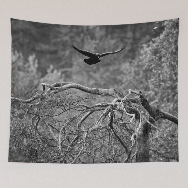 Item preview, In the air. Rraven bw designed and sold by Jouko Lehto Photography.