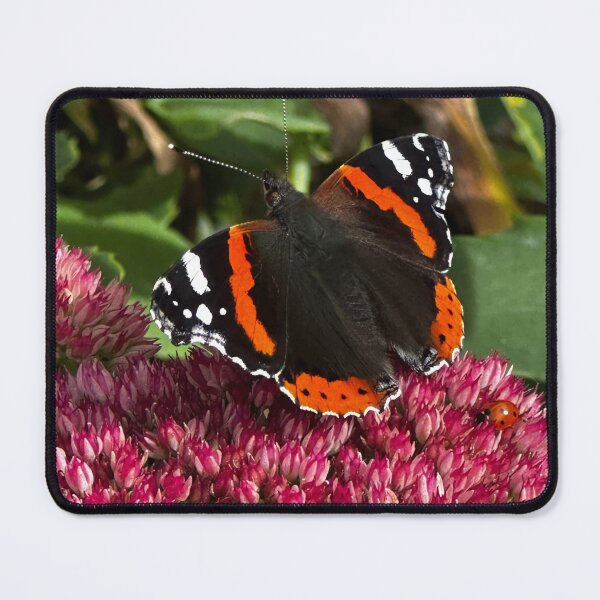 Item preview, Red admiral butterfly designed and sold by Tizz07.