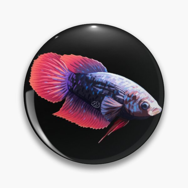 Item preview, Female Purple Veiltail Betta designed and sold by FallingRainx.