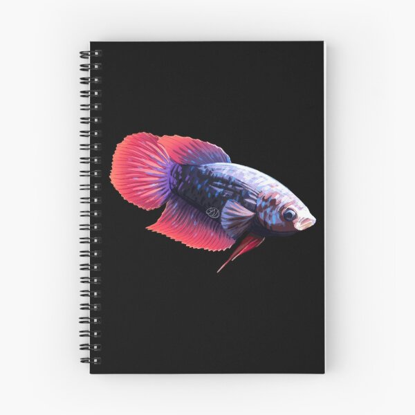 Item preview, Female Purple Veiltail Betta designed and sold by FallingRainx.
