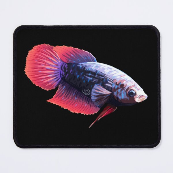 Item preview, Female Purple Veiltail Betta designed and sold by FallingRainx.