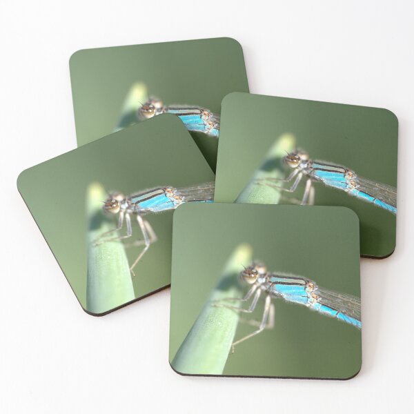 Item preview, Dragonfly (Blue Damseslfly) Perched on Onion Leaf Closeup designed and sold by Petalgrain.