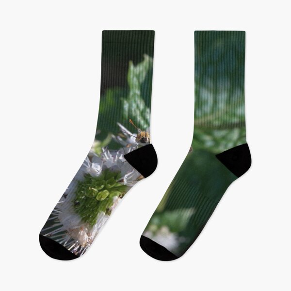 Item preview, Copper Skipper Feeding on Spearmint Blossoms designed and sold by Petalgrain.