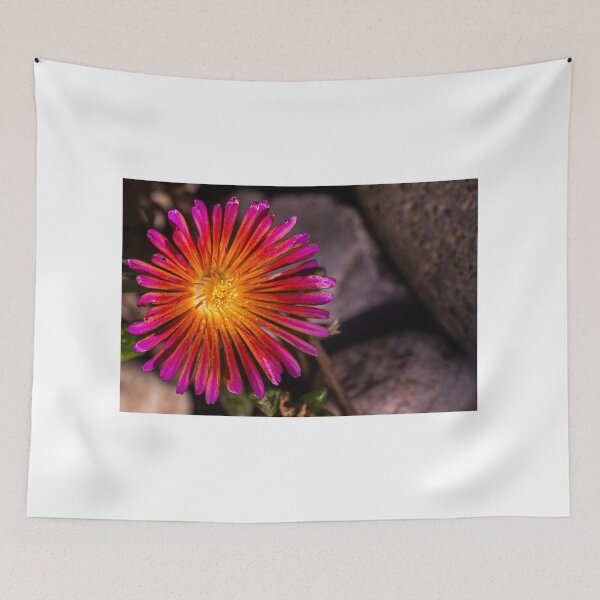 Item preview, Colorful Closeup designed and sold by Eyecbeauty.