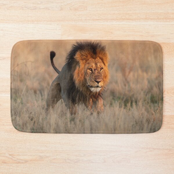 Item preview, Romeo the Lion – Walking Proud in the Savuti Grasslands designed and sold by DavideAntoniani.