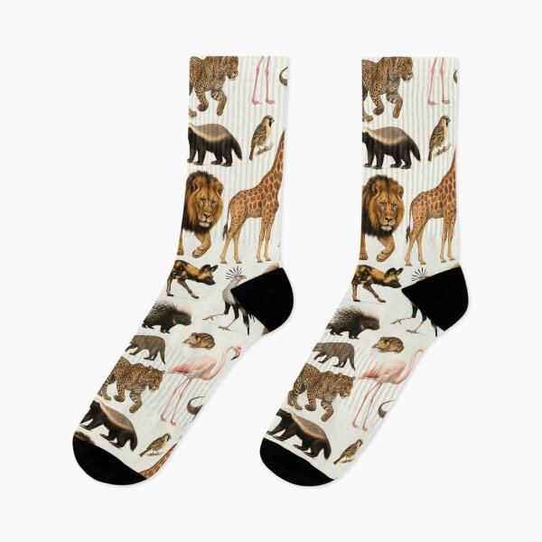 Item preview, Animals of the Kalahari Desert Retro Wildlife Illustration designed and sold by kakarikihill.