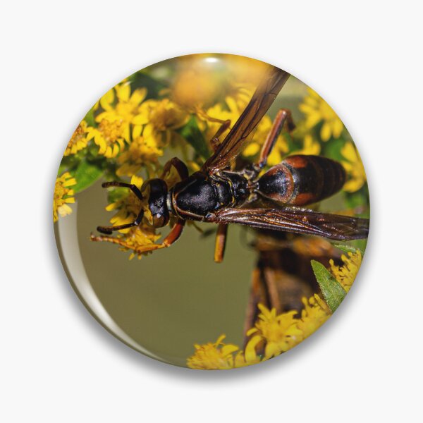 Item preview, Wasp at Work designed and sold by Eyecbeauty.