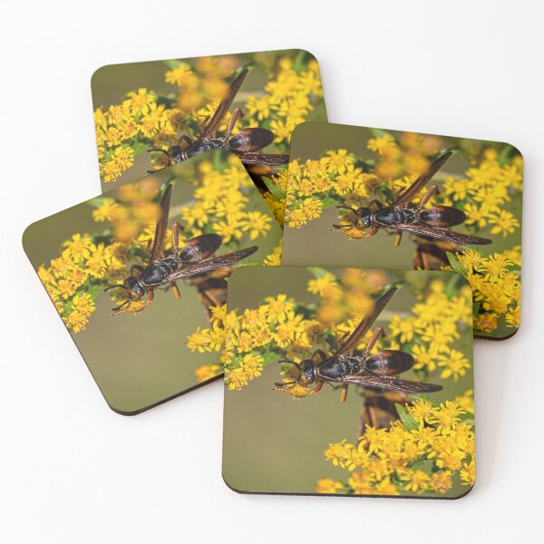 Item preview, Wasp at Work designed and sold by Eyecbeauty.