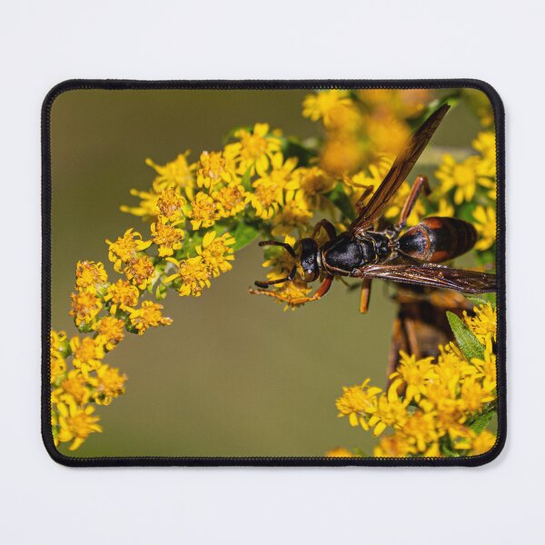 Item preview, Wasp at Work designed and sold by Eyecbeauty.