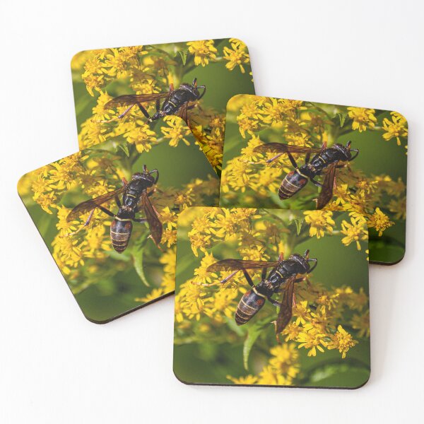 Item preview, Wasp from Above designed and sold by Eyecbeauty.