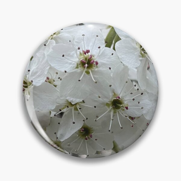 Item preview, White Flowering Dogwood designed and sold by gravettanna859.