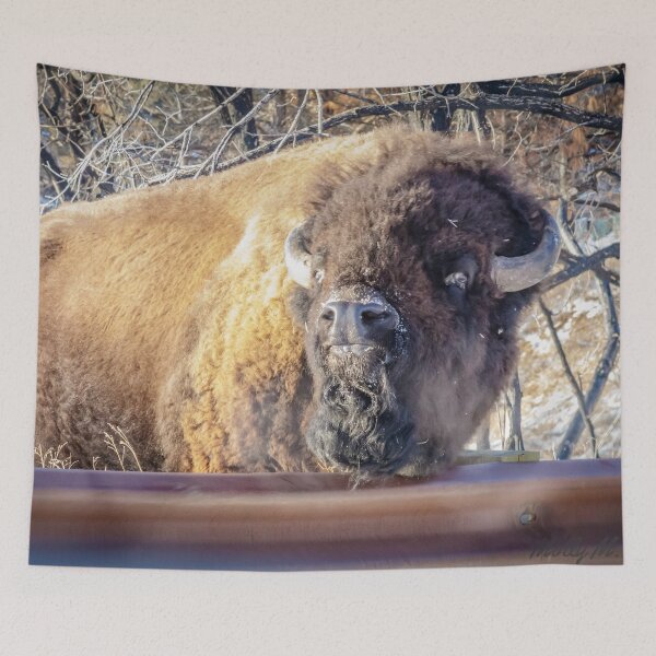 Item preview, You looking at me? designed and sold by MollyBukovac.
