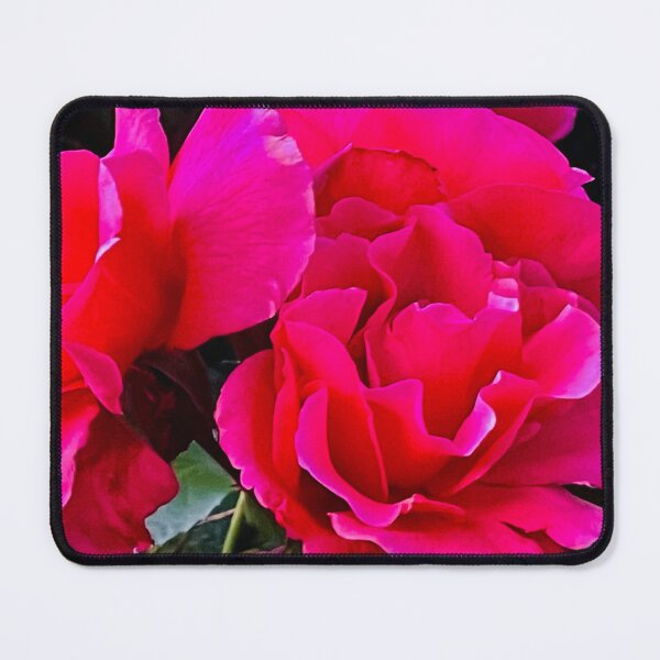 Item preview, Cerise  Cyclamen  designed and sold by Pheroza.