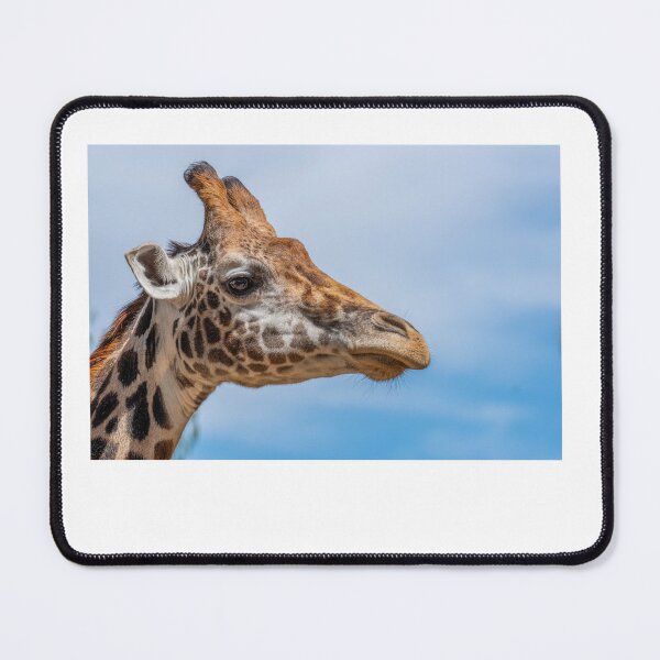 Item preview, profile of a giraffe designed and sold by marion brown.