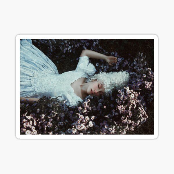 Beautiful girl is posing in a Middle Ages historical dress Sticker