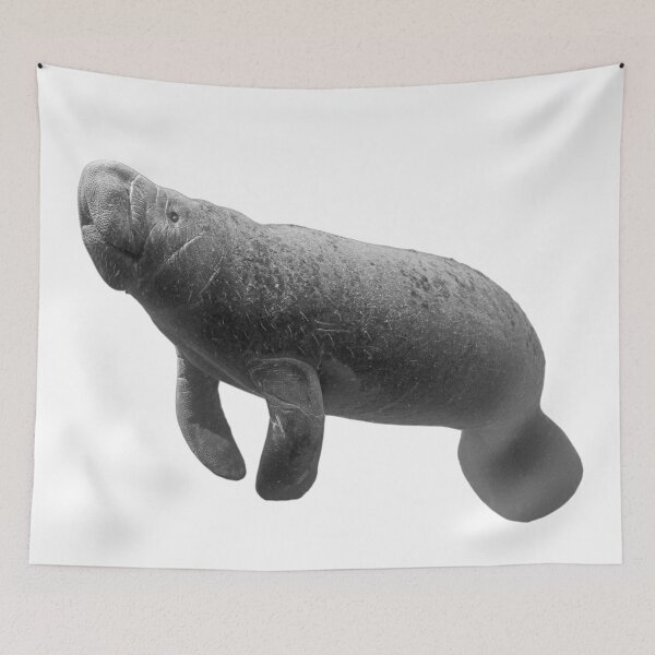 Item preview, Manatee designed and sold by Heidi Ingram.