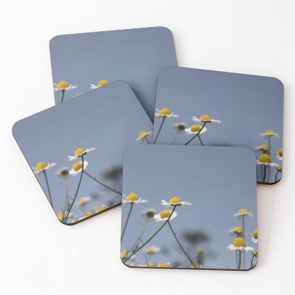 Item preview, Chamomile flowers under a blue sky – nature, calm, and freshness designed and sold by Deathcocoshots.