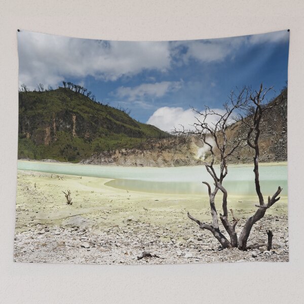 Item preview, The sulphurous and lunar shores of Lake Kawah Putih designed and sold by franck380.