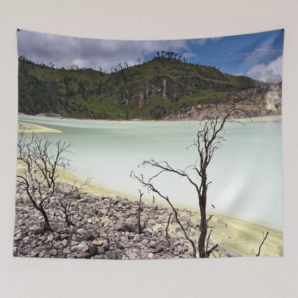 Item preview, The sulphurous and lunar shores of Lake Kawah Putih designed and sold by franck380.