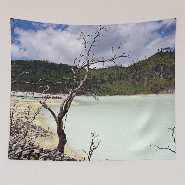 Item preview, The sulphurous and lunar shores of Lake Kawah Putih designed and sold by franck380.