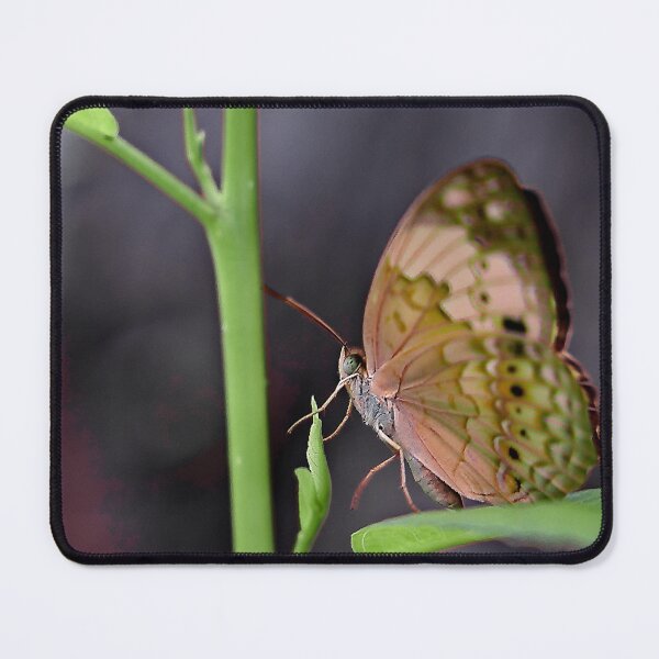 Item preview, The fragile elegance of a butterfly with spotted and colorful wings designed and sold by franck380.