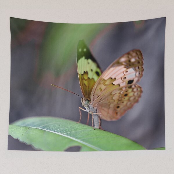 Item preview, The fragile elegance of a butterfly with spotted and colorful wings designed and sold by franck380.