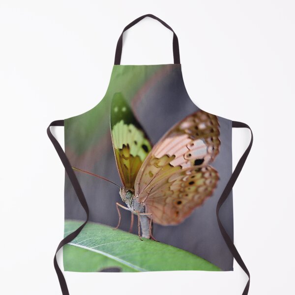 Item preview, The fragile elegance of a butterfly with spotted and colorful wings designed and sold by franck380.
