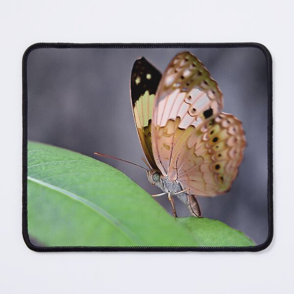 Item preview, The fragile elegance of a butterfly with spotted and colorful wings designed and sold by franck380.