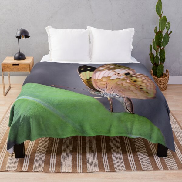 Item preview, The fragile elegance of a butterfly with spotted and colorful wings designed and sold by franck380.