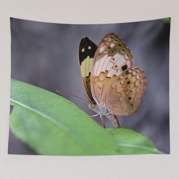 Item preview, The fragile elegance of a butterfly with spotted and colorful wings designed and sold by franck380.