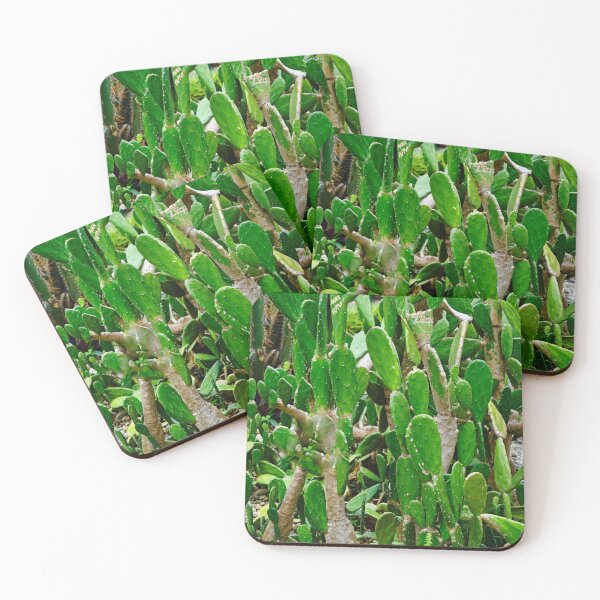 Item preview, Forest of green cacti with graphic and prickly shapes designed and sold by franck380.