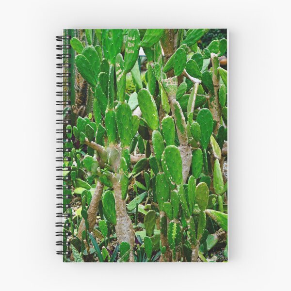 Item preview, Forest of green cacti with graphic and prickly shapes designed and sold by franck380.