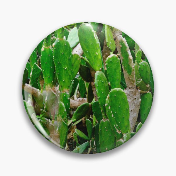 Item preview, Forest of green cacti with graphic and prickly shapes designed and sold by franck380.