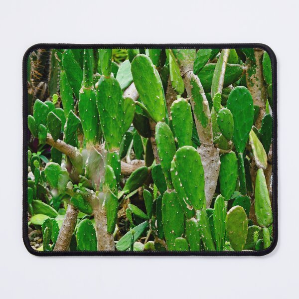 Item preview, Forest of green cacti with graphic and prickly shapes designed and sold by franck380.