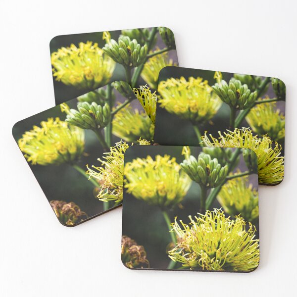 Item preview, Vibrant exotic yellow flowers in the heart of Bogor's nature designed and sold by franck380.