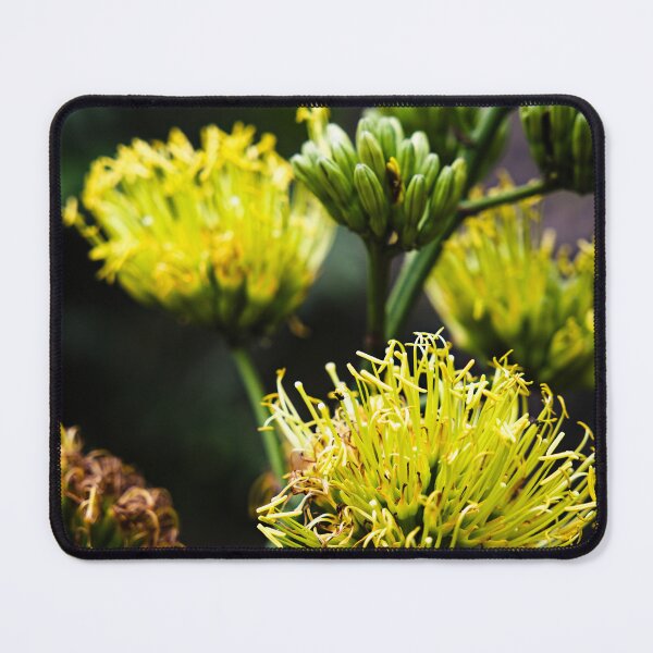 Item preview, Vibrant exotic yellow flowers in the heart of Bogor's nature designed and sold by franck380.