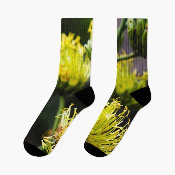 Item preview, Vibrant exotic yellow flowers in the heart of Bogor's nature designed and sold by franck380.