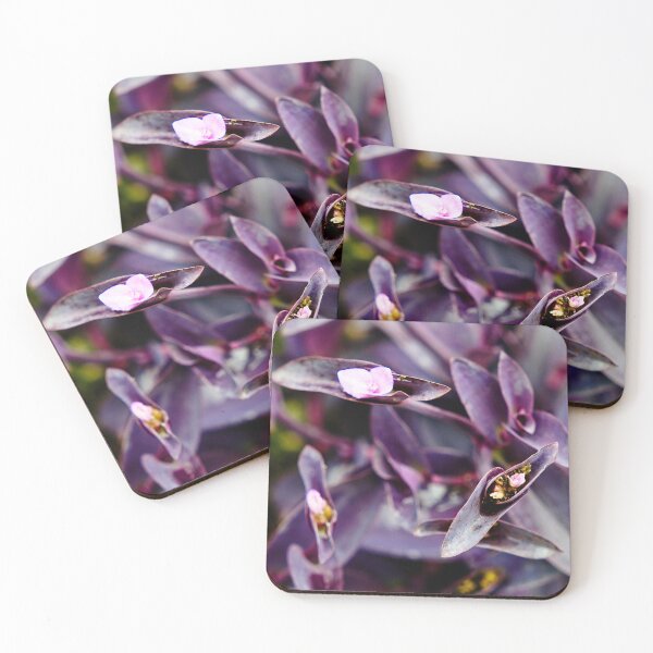 Item preview, A discreet floral burst among an ocean of purple leaves designed and sold by franck380.