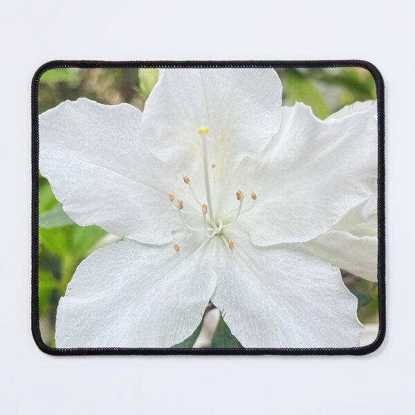 Item preview, White Azalea Flower in Bloom designed and sold by Be Captured by Brittany Emma.