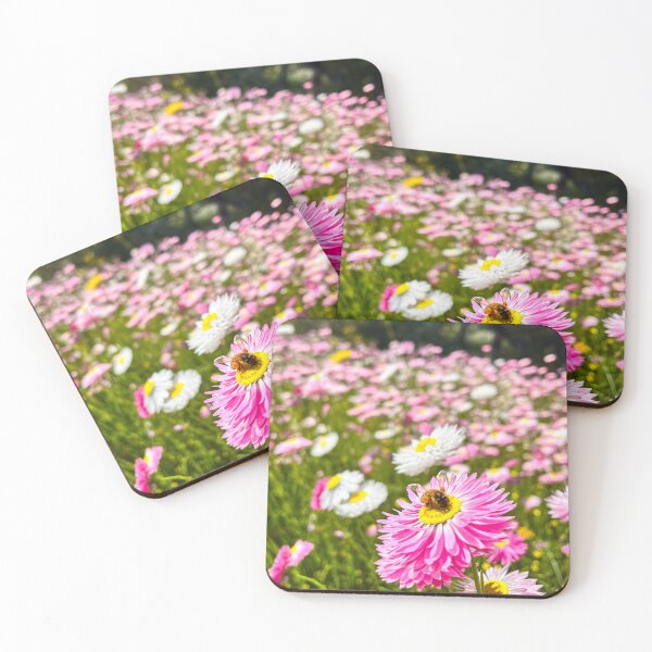 Item preview, Pink Paper Daisy with Bee in Wildflower Field designed and sold by Be Captured by Brittany Emma.