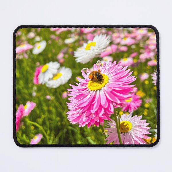 Item preview, Pink Paper Daisy with Bee in Wildflower Field designed and sold by Be Captured by Brittany Emma.