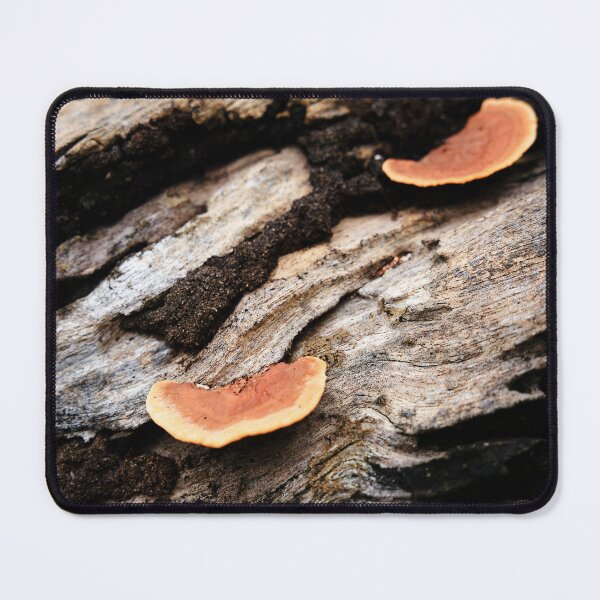 Item preview, Orange mushrooms on rotting dead wood designed and sold by franck380.