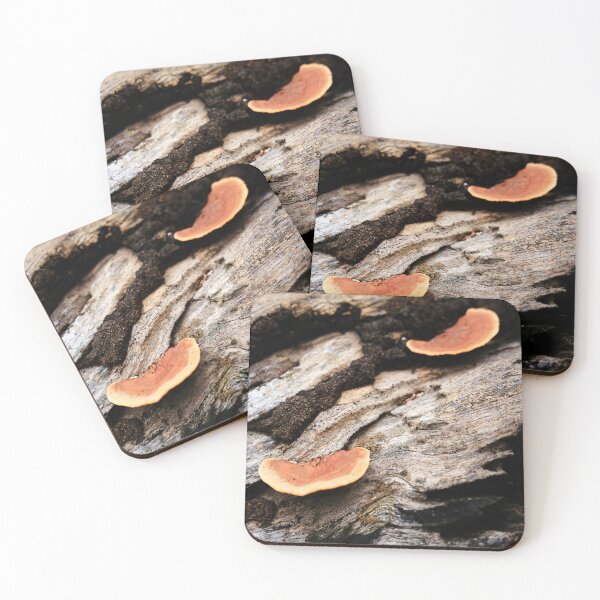 Item preview, Orange mushrooms on rotting dead wood designed and sold by franck380.