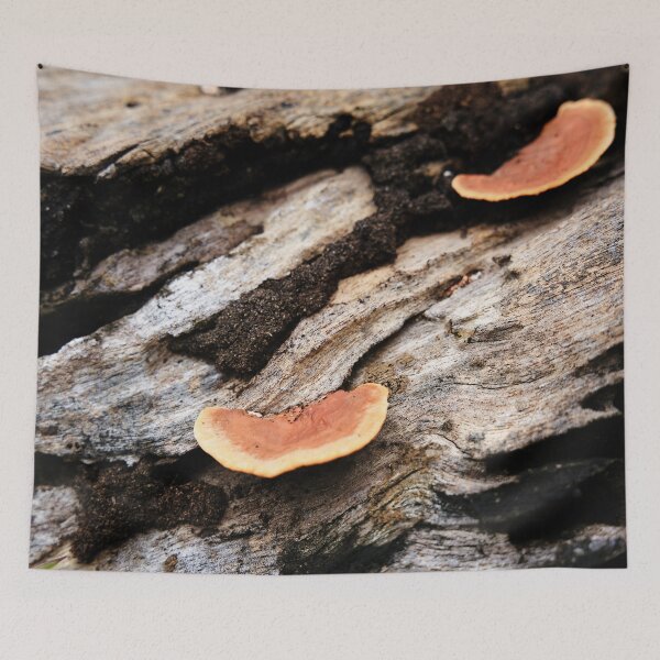 Item preview, Orange mushrooms on rotting dead wood designed and sold by franck380.