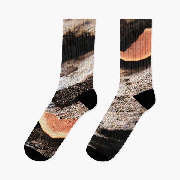 Item preview, Orange mushrooms on rotting dead wood designed and sold by franck380.