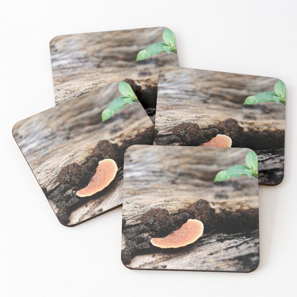 Item preview, Orange mushrooms on rotting dead wood designed and sold by franck380.
