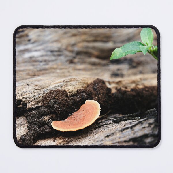 Item preview, Orange mushrooms on rotting dead wood designed and sold by franck380.