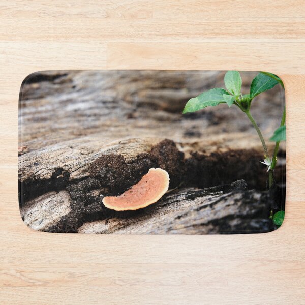 Item preview, Orange mushrooms on rotting dead wood designed and sold by franck380.