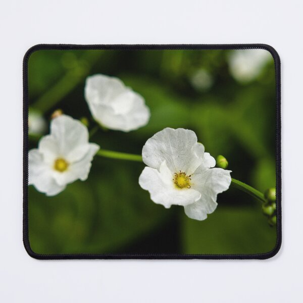 Item preview, Natural harmony of white flowers in Indonesia designed and sold by franck380.