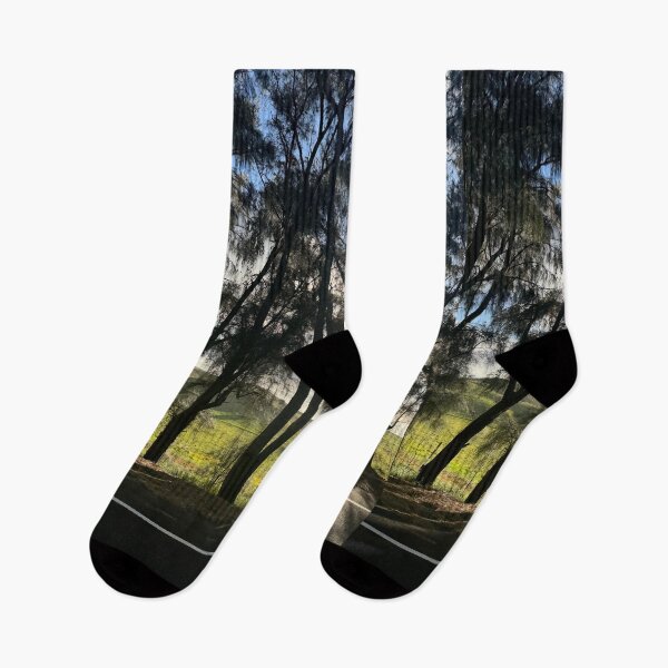 Item preview, Sunlight Through Forest Trees designed and sold by TrisaThyme.